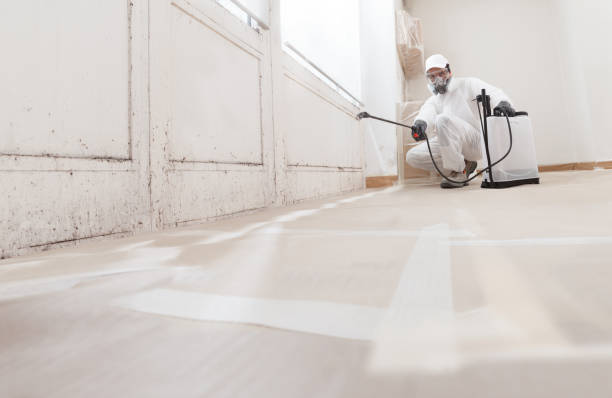 24/7 Emergency Commercial Mold Remediation experts in Georgetown, KY