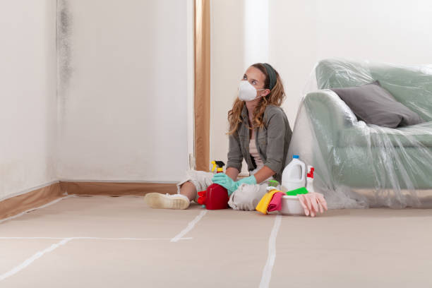 Reliable Commercial Mold Remediation contractor in Georgetown, KY by Mold Remediation HQ