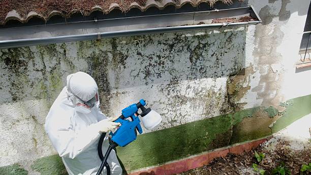 Top rated local Commercial Mold Remediation specialists in Georgetown, KY